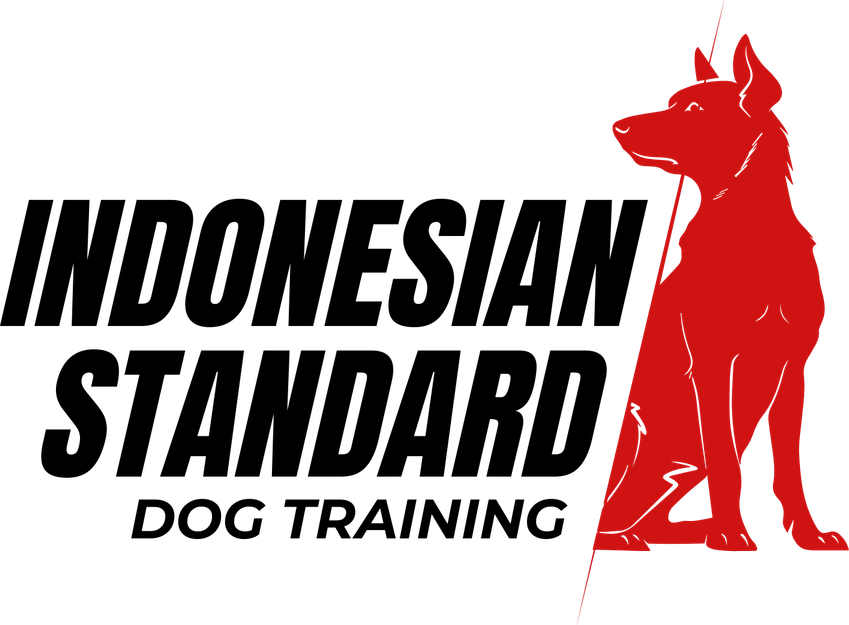 Indonesian Standard Dog Training